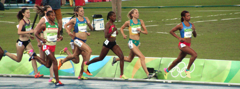 TrackJenny mid-race - TrackJenny